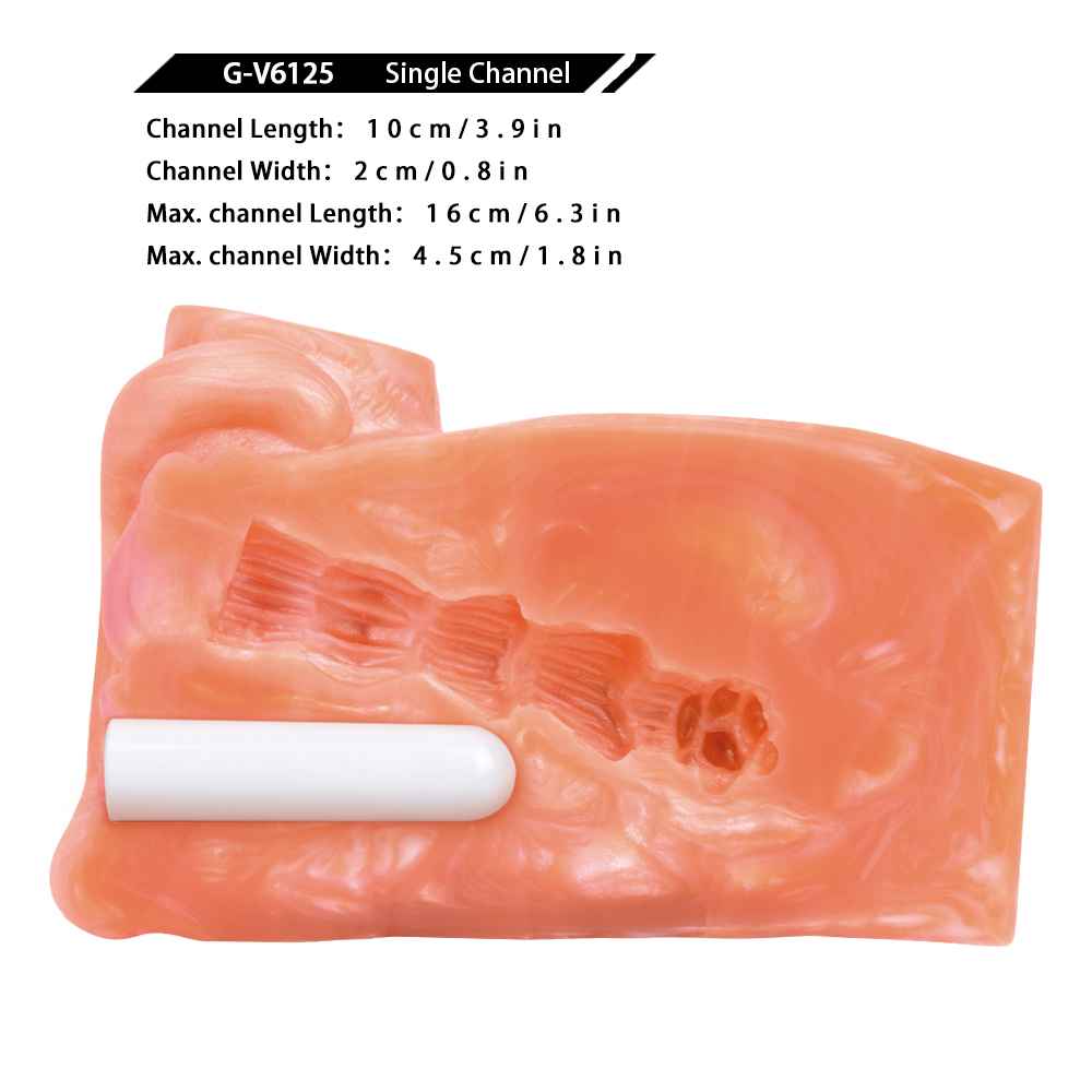 Orange Cat Animal Masturbator